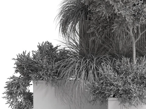 Plants collection 770 3D Model