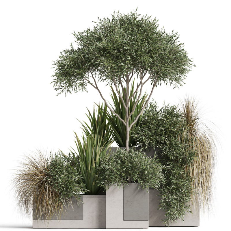 Plants collection 771 3D-Modell .c4d .max .obj .3ds .fbx .stl .blend 