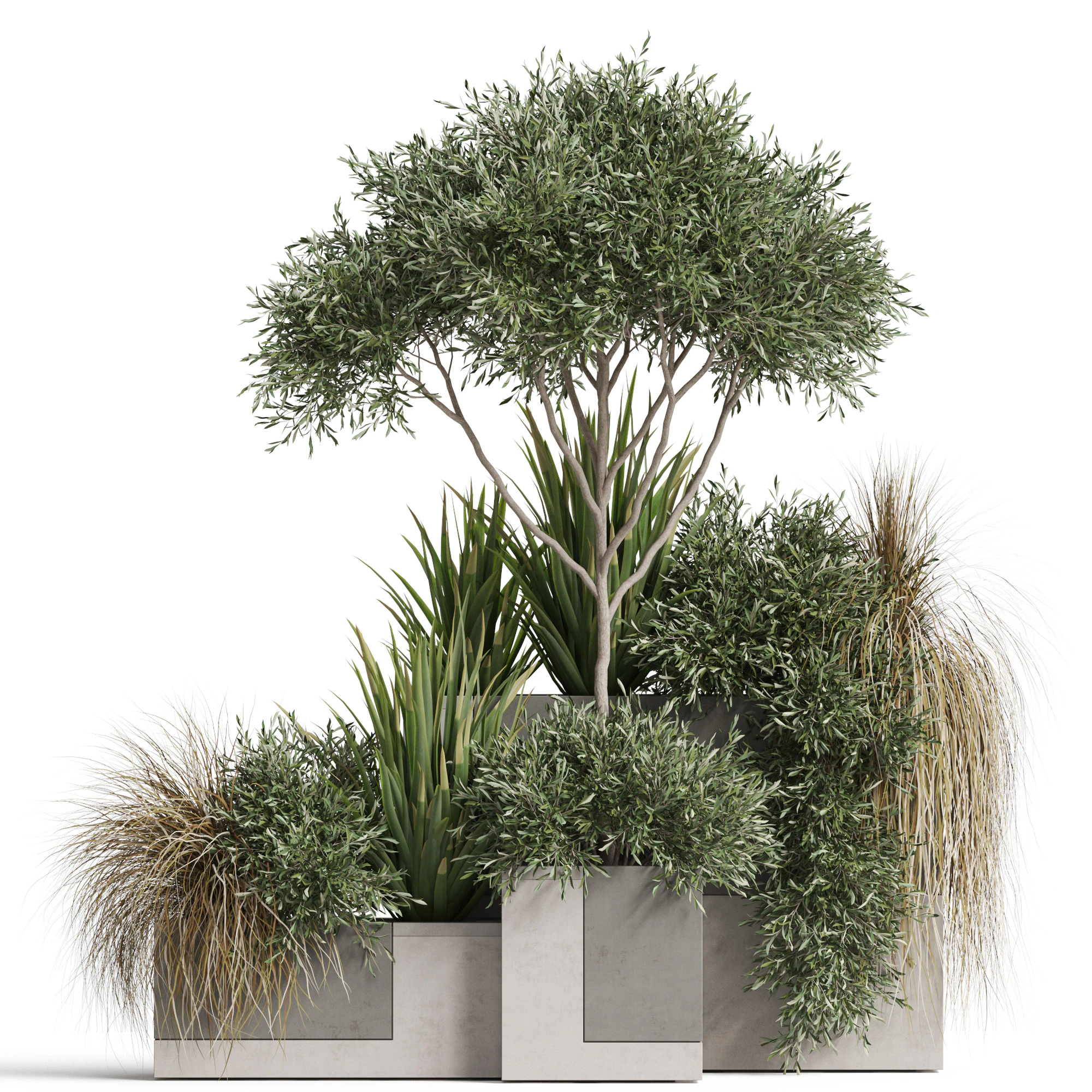 Plants collection 771 3D Model .c4d .max .obj .3ds .fbx .stl .blend 