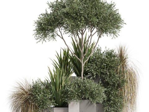 Plants collection 771 3D 모델