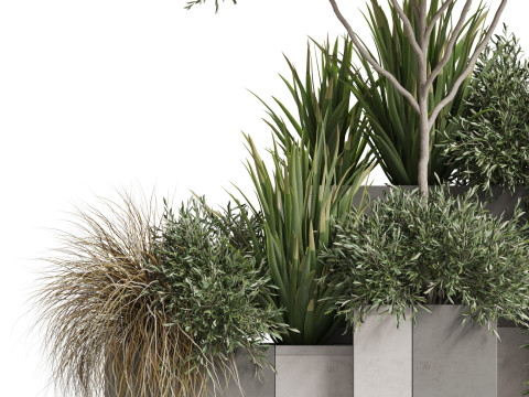 Plants collection 771 3D-Modell