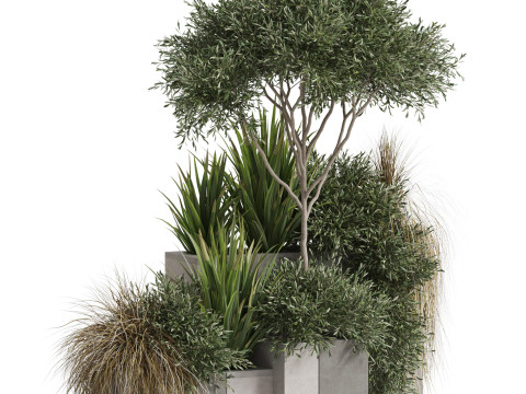 Plants collection 771 3D-Modell