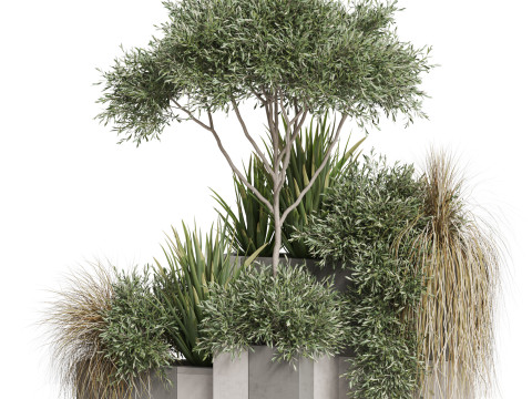 Plants collection 771 3D-Modell