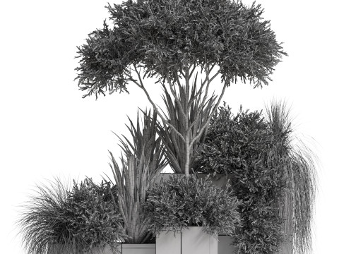 Plants collection 771 3D-Modell