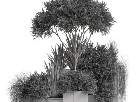 Plants collection 771 3D Model