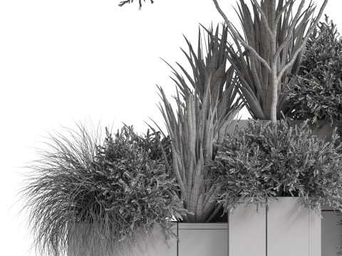 Plants collection 771 3D-Modell