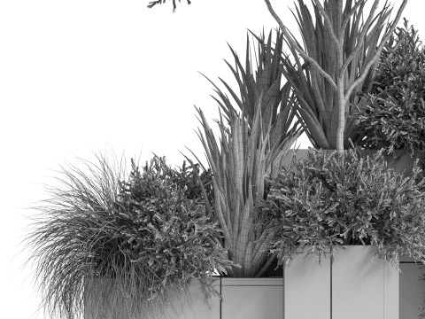 Plants collection 771 3D Model