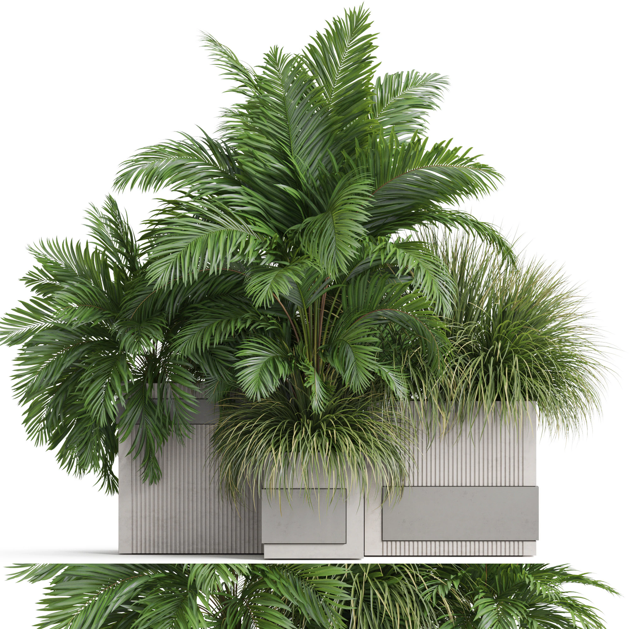 Plants collection 772 3D Model .c4d .max .obj .3ds .fbx .stl .blend