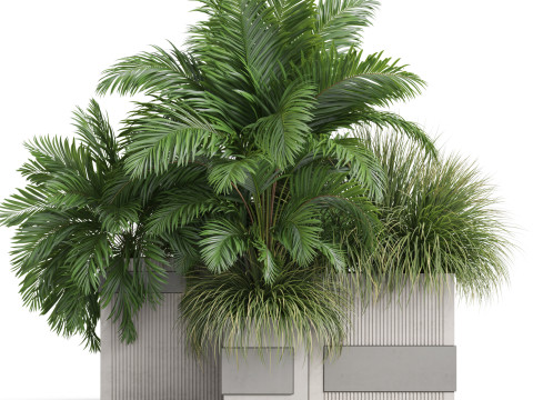 Plants collection 772 3D 모델