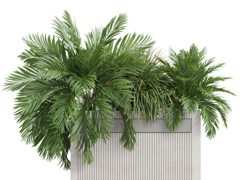 Plants collection 772 3D Model