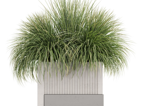 Plants collection 772 3Dモデル