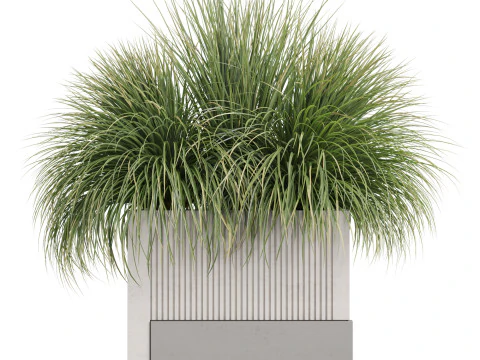 Plants collection 772 3D Model