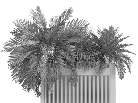 Plants collection 772 3D Model