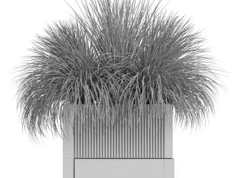 Plants collection 772 3D Model