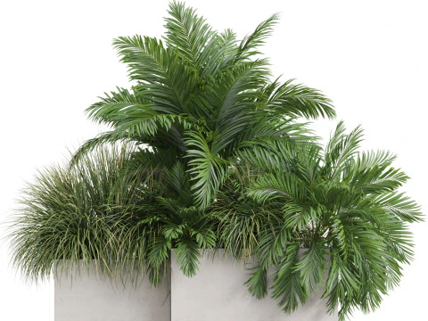 Plants collection 772 3D Model