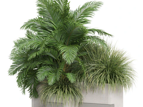 Plants collection 772 3D Model