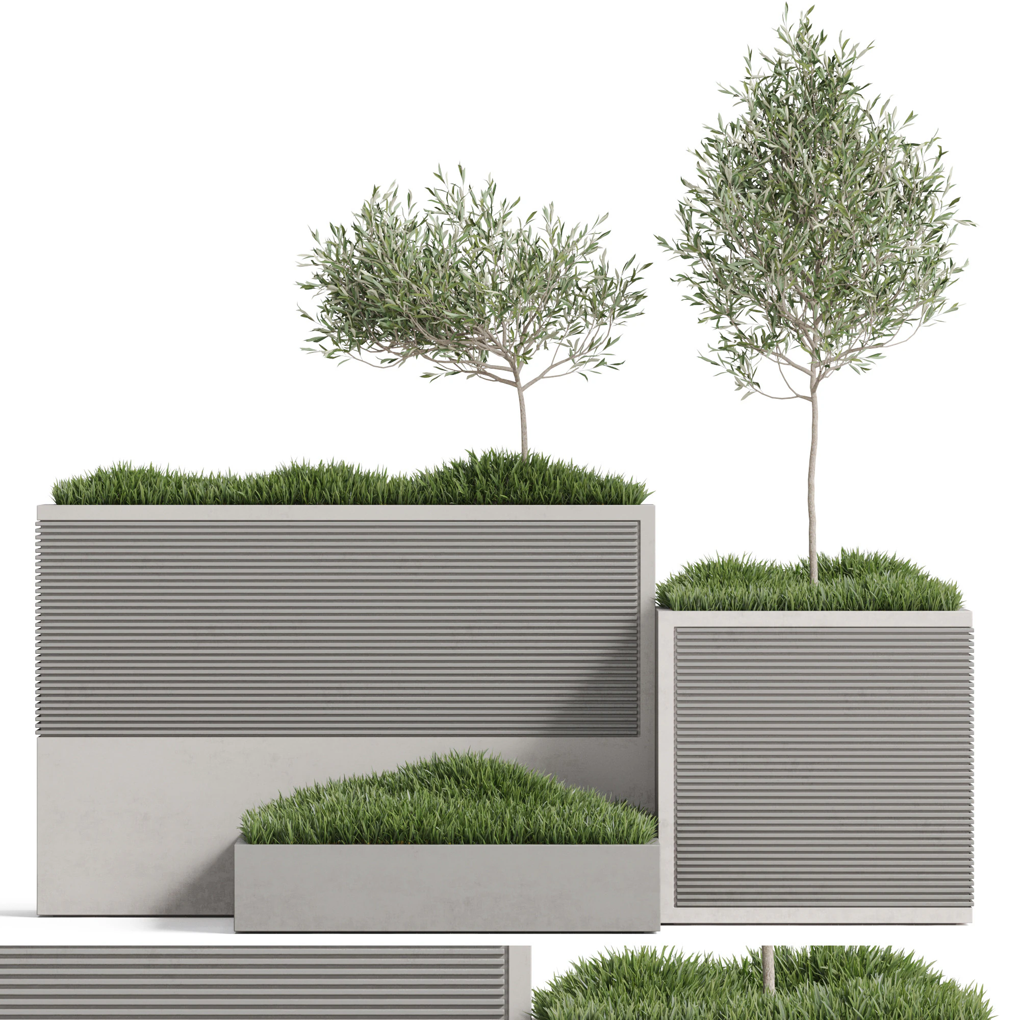 Plants collection 773 3D Model .c4d .max .obj .3ds .fbx .stl .blend 