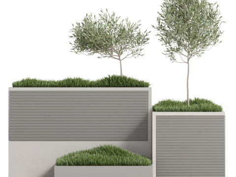 Plants collection 773 3D 모델
