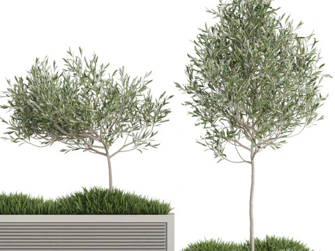 Plants collection 773 3D Model