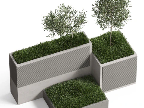 Plants collection 773 3D Model