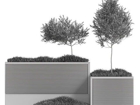 Plants collection 773 3D Model