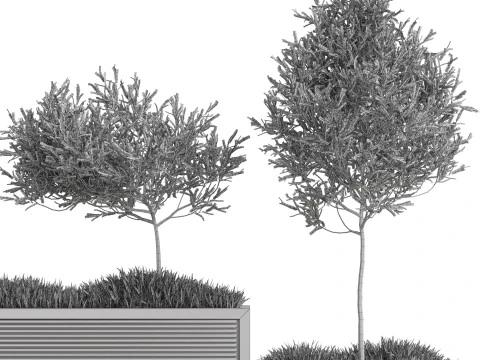 Plants collection 773 3D Model