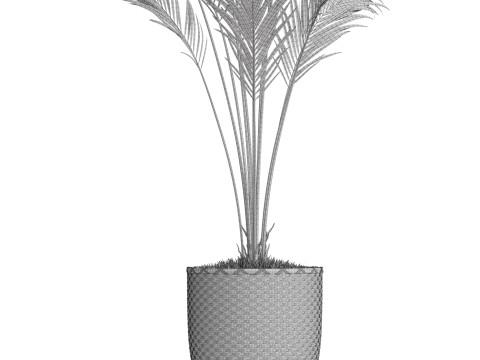Plants collection 774 3D Model