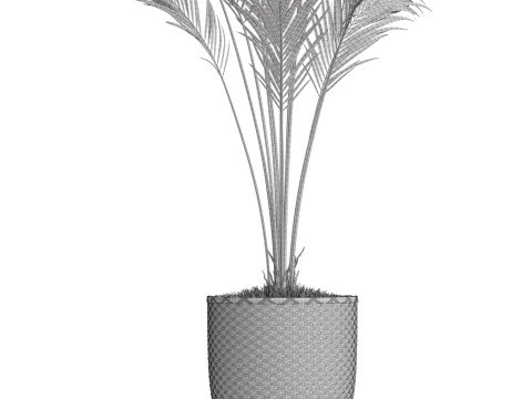 Plants collection 774 3D Model