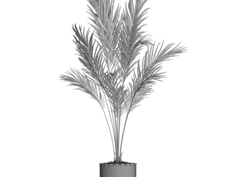 Plants collection 774 3D Model