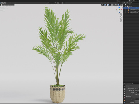 Plants collection 774 3D Model