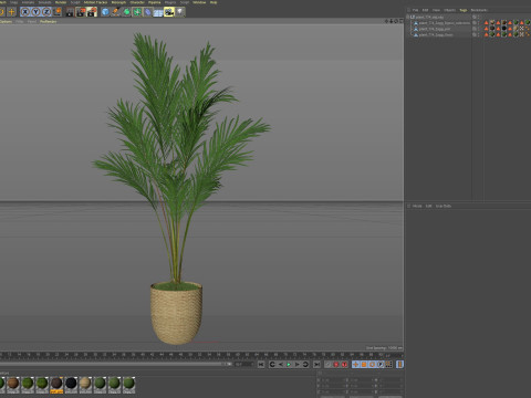 Plants collection 774 3D Model