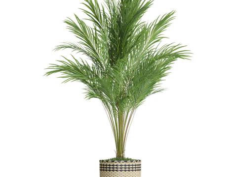 Plants collection 775 3D Model