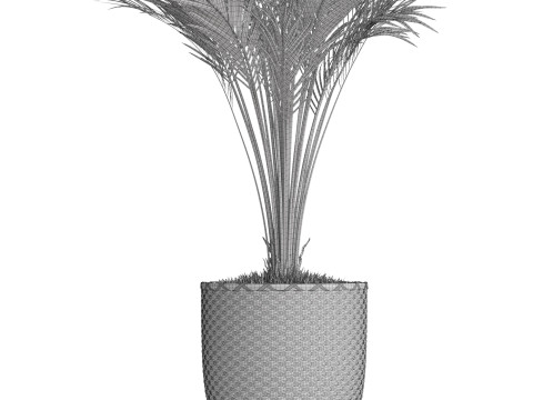 Plants collection 775 3D Model