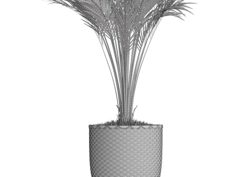 Plants collection 775 3D Model