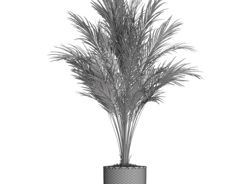Plants collection 775 3D Model