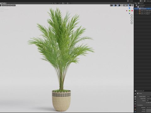 Plants collection 775 3D Model
