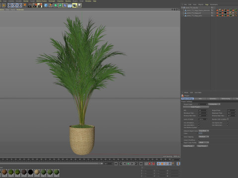 Plants collection 775 3D Model