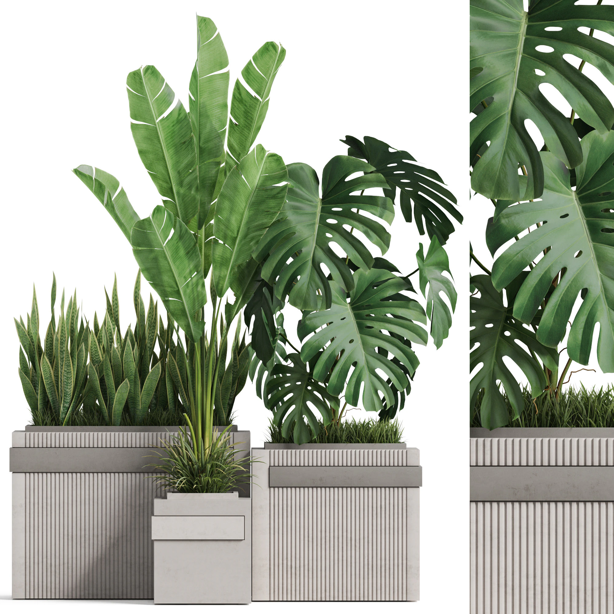 Plants collection 776 3D Model .c4d .max .obj .3ds .fbx .stl .blend 