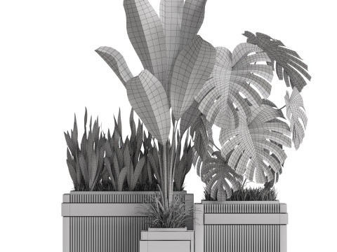 Plants collection 776 Modèle 3D