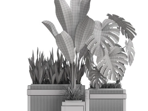 Plants collection 776 3D Model