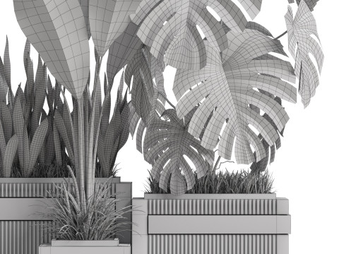 Plants collection 776 Modèle 3D