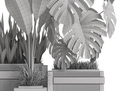 Plants collection 776 3D Model