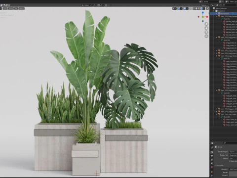 Plants collection 776 3D Model