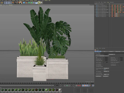 Plants collection 776 3D Model