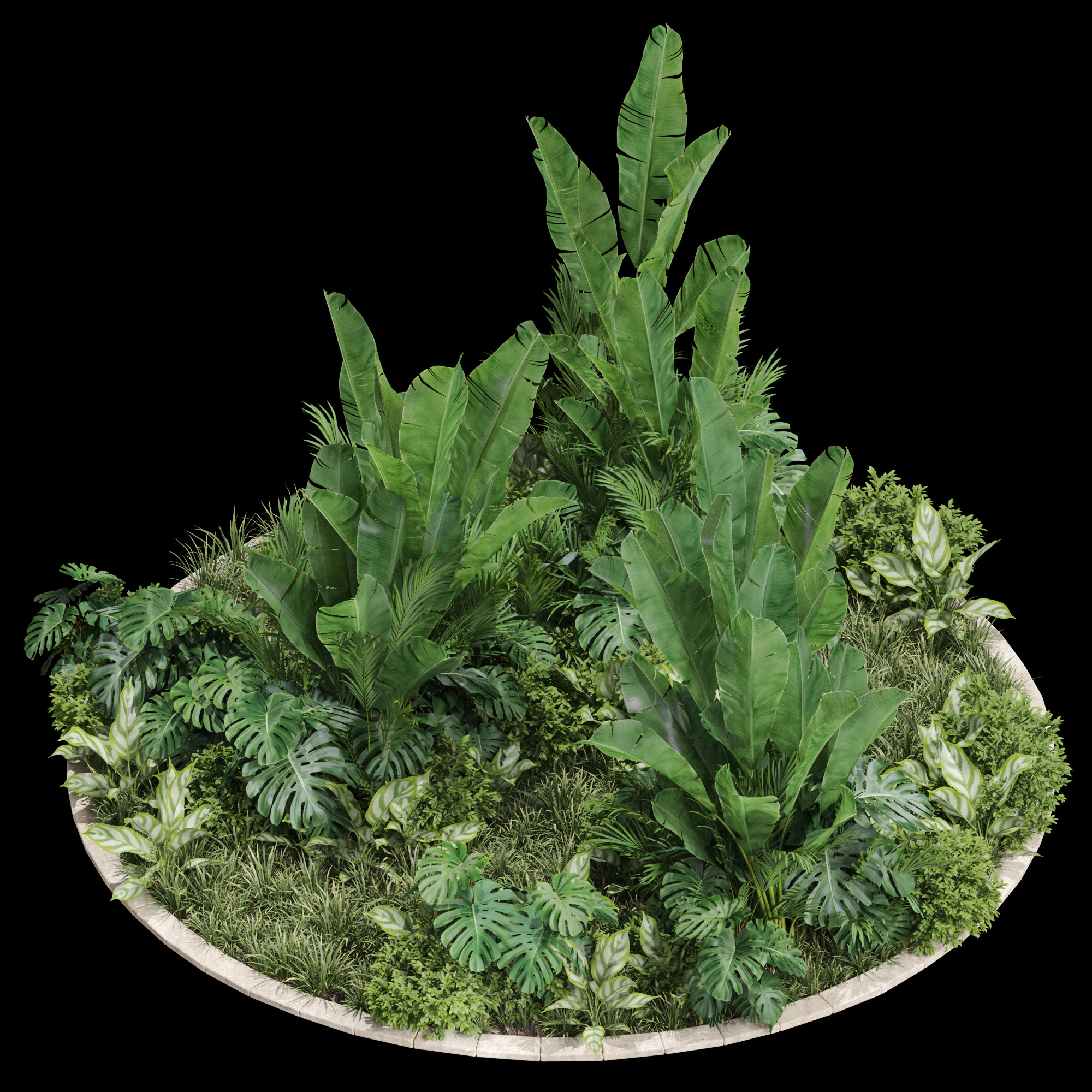 Plants collection 777 3D Model .c4d .max .obj .3ds .fbx .stl .blend
