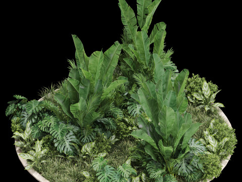 Plants collection 777 3D 모델