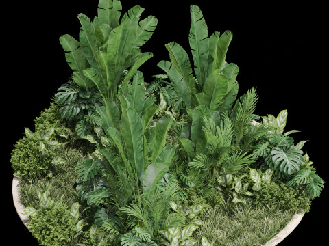 Plants collection 777 3D Model