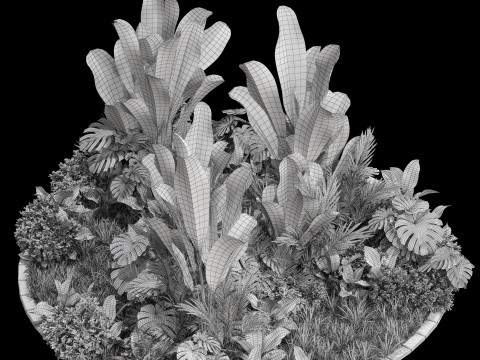 Plants collection 777 Modèle 3D