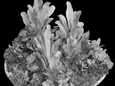 Plants collection 777 3D Model