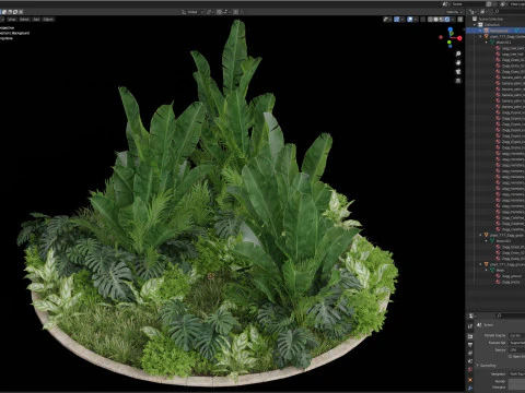 Plants collection 777 3D Model